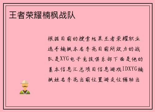王者荣耀楠枫战队